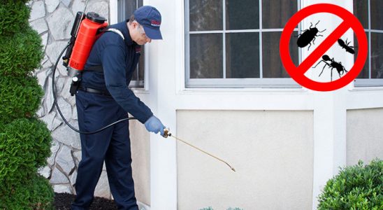 Tavas Dezenfeksiyon böcek ilaçlama ve haşere kontrolü — ilaclama-tr.com